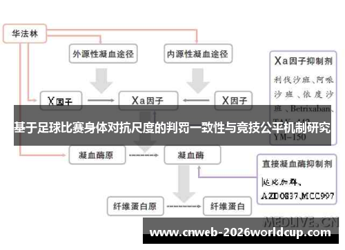 基于足球比赛身体对抗尺度的判罚一致性与竞技公平机制研究 基于足球比赛身体对抗尺度的判罚一致性与竞技公平机制研究